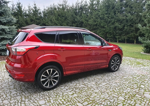 Ford Kuga cena 94500 przebieg: 31255, rok produkcji 2019 z Szamotuły małe 232